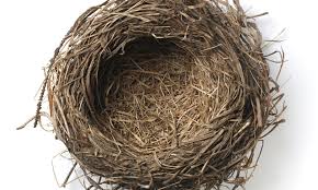 Image result for nest