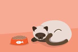 Check spelling or type a new query. Apa Yang Menyebabkan Kucing Mogok Makan