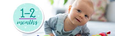Baby Vaccines At 1 2 Months Cdc