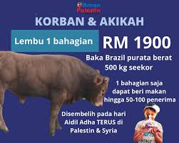 Harga untuk 1 bahagian lembu serendah rm610 / seekor lembu bermula rm4,000 (bergantung kepada gred). Seruan Ibadah Korban Di Bumi Penuh Keberkatan Palestin Syria 2020