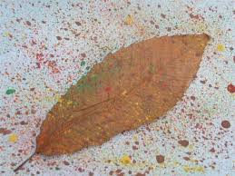 Check spelling or type a new query. Toothbrush Splatter Painting With Leaves Or Kids Hands Toothbrush Painting Splatter Art Process Art