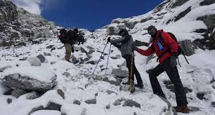 نتیجه جستجوی لغت [acclimatized] در گوگل