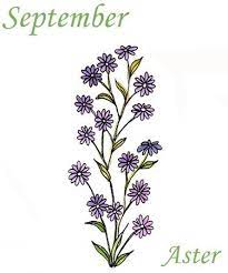 Flower For September Month Images Aster Flower Tattoo Flower Flower Tattoo Flower Tattoo On Shoulder Aster Flower Tattoos Birth Flower Tattoos Aster Tattoo