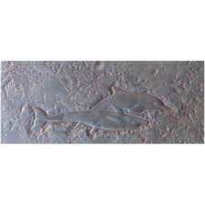Bon tool is the contractor's choice for decorative concrete detail and nature stamps. Decorative Concrete Stamp Sea Turtle Swimming