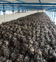 Call 971 58 933 0420 for more details about buying used cars. Car Engines Dubai Used Engines For Sale We Export All Over The World