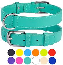 We have a wide selection of basic dog collars that come in different, colors, styles and materials for all size breeds. Collardirect Leather Dog Collar 12 Colors Soft Padded Pet Collars Small Medium Large Puppy Green Black Pink White Red Blue Purple Buy Online In Saint Vincent And The Grenadines At Saintvincent Desertcart Com Productid