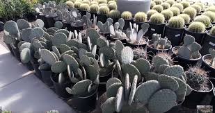 Check spelling or type a new query. Pin On Photos