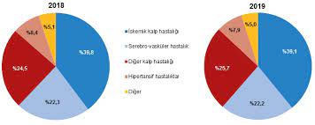 Türkiye i̇statistik kurumu (tüi̇k), 2019 yılı ölüm ve ölüm nedeni istatistiklerini açıkladı. Https Data Tuik Gov Tr Bulten Index P Olum Ve Olum Nedeni Istatistikleri 2019 33710
