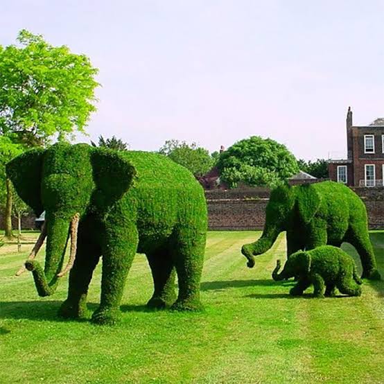 Mga resulta ng larawan para sa Topiary elephant"