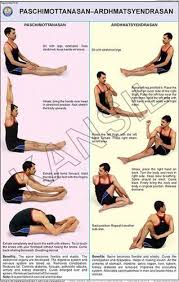 Paschimottanasan Ardh Matsyendrasan For Yoga Chart