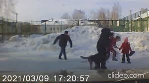 Forbidden Love - Young Girl Finds Pleasure with a Dog