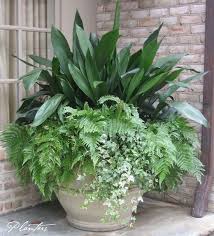 7 Container Gardening Ideas Beyond Summer Flowers Plants Container Gardening Planting Flowers