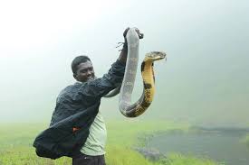 Vava Suresh Kerala S Snake Man Who Has Saved More Than 100 Cobras The best usaa phone number with tools for skipping the wait on hold, the current wait time, tools for scheduling a time to talk with a usaa rep, reminders when the call center opens, tips and shortcuts from other usaa usaa phone number.