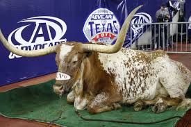 texas longhorns pre spring depth chart burnt orange nation