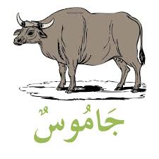 Perkataan suku kata terbuka + suku kata tertutup. Jom Kenali Haiwan Dalam Bahasa Arab Nota Bahasa Arab Facebook