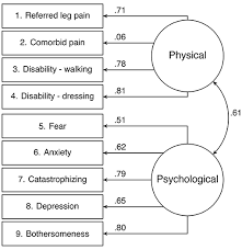 Image result for Start Back Screening Tool
