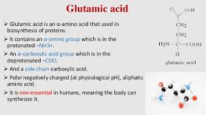 Industrial Production Of Chemical Acids Glutamic Acid