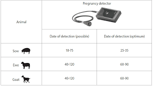 The detector reveals amniotic waters in a uterus. Draminski Sheep Goat Pregnancy Detector Photon Surgical Systems Ltd