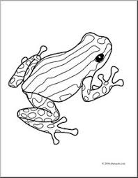 Yellow banded poison dart frog coloring page · blue poison dart frog coloring . 900 Partterns Ideas In 2021 Zentangle Patterns Doodles Zentangles Zentangle Drawings