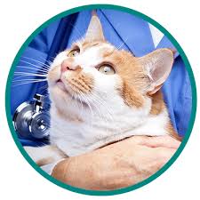 Outside of these events, our team will work with you to coordinate a specific time to meet with an adoption counselor upon approval for adoption. Humane Society Of North Central Florida Humane Society Of North Central Florida