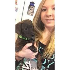 Amber Roeder's Instagram, Twitter & Facebook