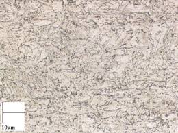 Image result for steel micrograph