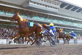 Nous vous présenterons les offres des principaux opérateurs de paris hippiques (pmu, pmu.fr. Grand Prix D Amerique 2020 Le Point Sur Le Betting