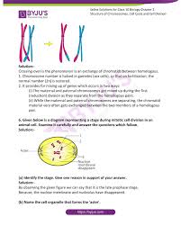 Check spelling or type a new query. Selina Solutions Concise Biology Class 10 Chapter 2 Structure Of Chromosomes Cell Cycle And Cell Division Get Pdf