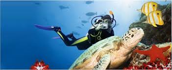 B B Scuba Diving In Maui Hawaii Discount