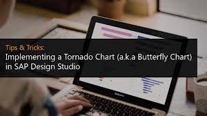 Tips Tricks Implementing A Tornado Chart A K A Butterfly