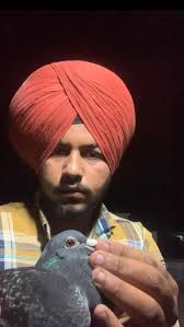 Turn On Notifications to See All New Content