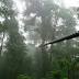 Media image for honduras from Yeshiva World News