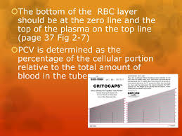 Ppt Packed Cell Volumes Total Proteins Blood Smear Prep