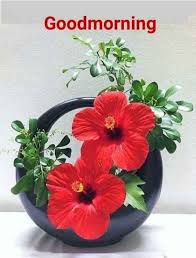 Good Morning Good Morning Flowers Good Morning Good Morning Greetings
