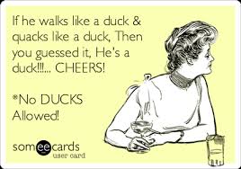 If He Walks Like A Duck Quacks Like A Duck Then You Guessed It He S A Duck Cheers No Ducks Allowed Thinking Of You Ecard