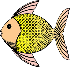 Jika mengalami mimpi ini maka berhati hatilah karena tafsiran mimpi ini adalah sebagai pertanda yang buruk. Ikan Lucu Skala Gambar Vektor Gratis Di Pixabay