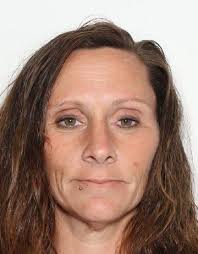 UPDATE: Lindsay R. Price was taken into custody today (Oct. 31, 2025)  without incident in Basye, Va. News Release For Immediate Release: VIRGINIA  STATE POLICE ASKING FOR PUBLIC'S HELP IN LOCATING FUGITIVE