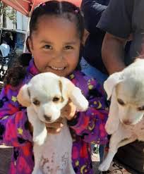 Free veterinarian care for unsheltered community pets