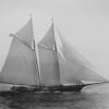 America's cup teams and helmsmen. Https Encrypted Tbn0 Gstatic Com Images Q Tbn And9gct6dkpj6fhvpjds667wk6zfeczyfsyz0jdf7qtz9sd3liglx1b Usqp Cau