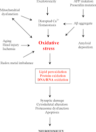 Figure 1 1 From Investigation Of Mrna Oxidation In