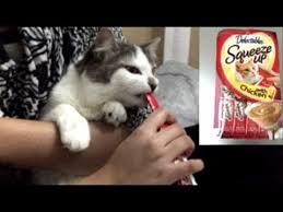 Fast delivery to your home . Hartz Delectables Squeeze Up Cat Treats Goes Crazy Youtube
