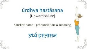 Upward Salute Yoga Asanas Yoga Teachers Study Yoga
