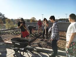 We love taking the time to educate and answer. Campus Living Lab Evolves With Installation Of Kitchen Garden And Shade Trees At Ifnh Newsroom