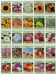 In its bounds, pines grew endlessly. Amazon Com 25 Flower Seed Packets Including 10 Varieties May Include Forget Me Nots Pinks Marigolds Zinnia Wildflower Poppy Snapdragon And More Made In The Usa Patio Lawn Garden