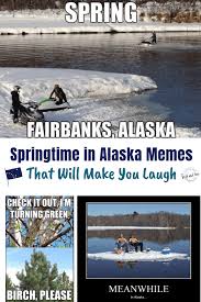 Spring Time In Alaska Memes That Will Make You Laugh Alaska Memes Travel Inspiration