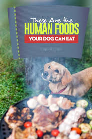 What Human Food Can Dogs Eat Human Food For Dogs Human Food Can Dogs Eat