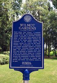Old Florida: Restoring Wilmot Gardens