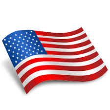 Image result for usa flag image