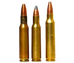 Coyote Cartridges 223 Rem Vs 22 250 Rem Vs 243 Win