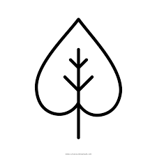 Celebrating wildflowers has some great information and fun things for kids to do. Aspen Leaf Coloring Page Ultra Coloring Pages